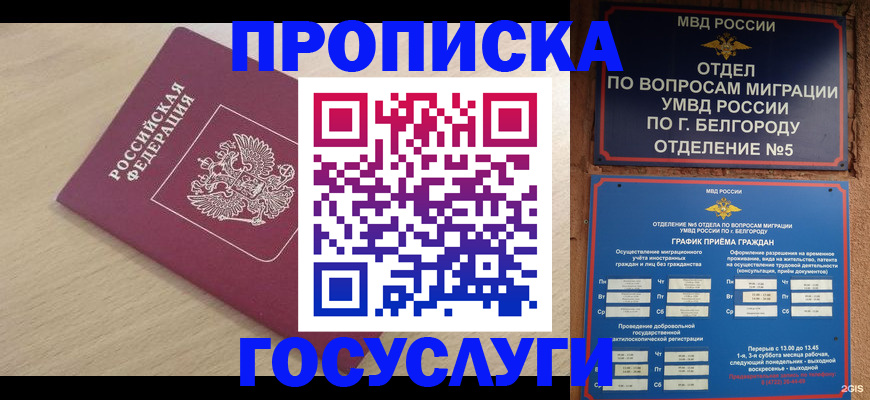 прописка законно в Шумихе